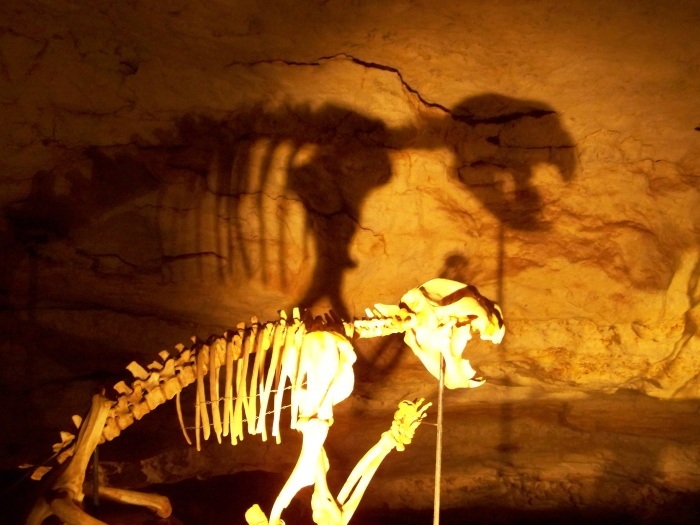 Naracoorte Caves